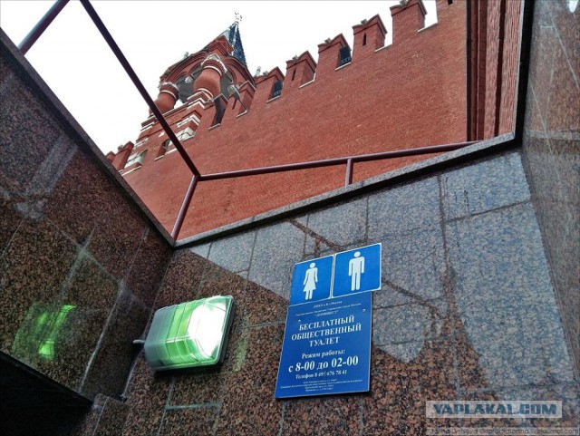 Почему вся страна до сих пор не может научиться пользоваться туалетом?