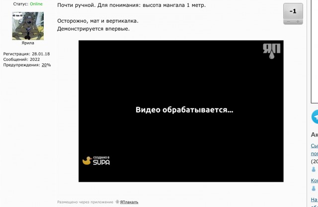 Боря, сук@, терминатор