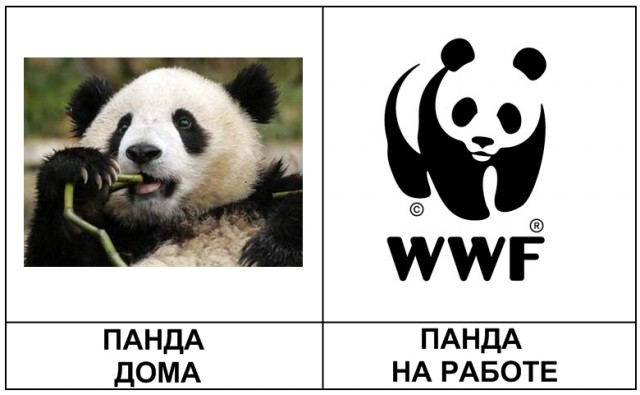 На работе и дома.