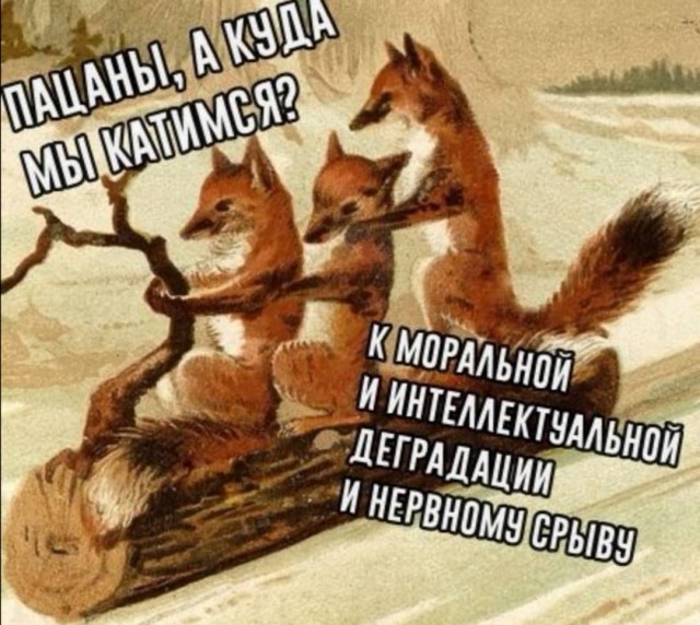 Юмор в картинках 04.09.20
