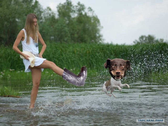 Фотожаба: Волшебный пендаль