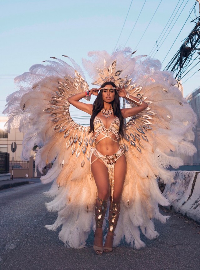 Карнавальных птичек пост