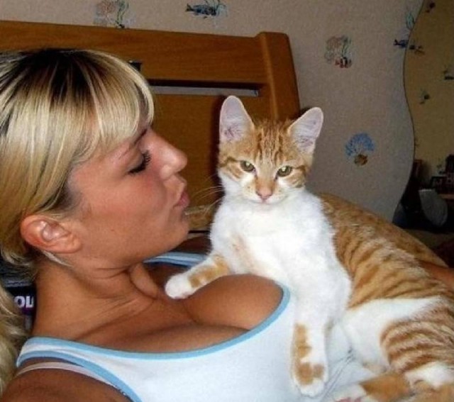 Девушки котовторника