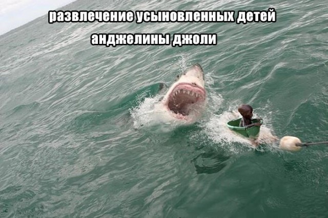 Черный юмор за 300