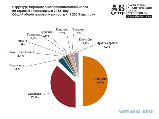 Что думают о русских те, кто присылает нам пальмовое масло? Редкий случай, когда малазиец говорит правду