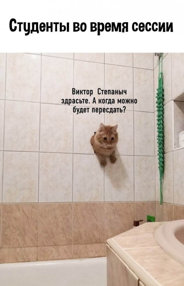 Так себе картинки 27.05.21