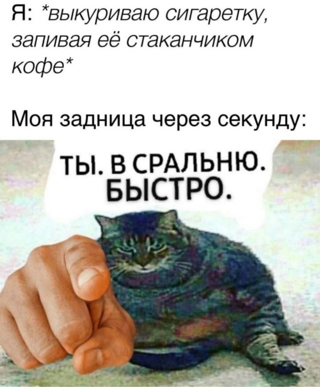 Мемасы (Пошлятина и мат)