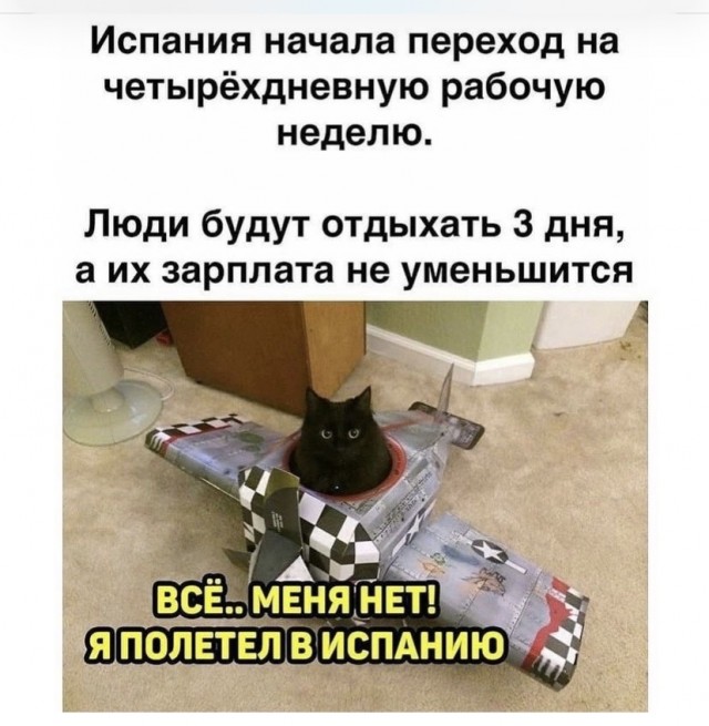 Бредзона 22.08.21