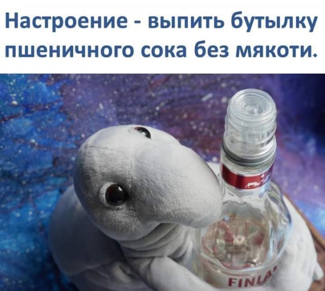 Так себе картинки 11.09.21