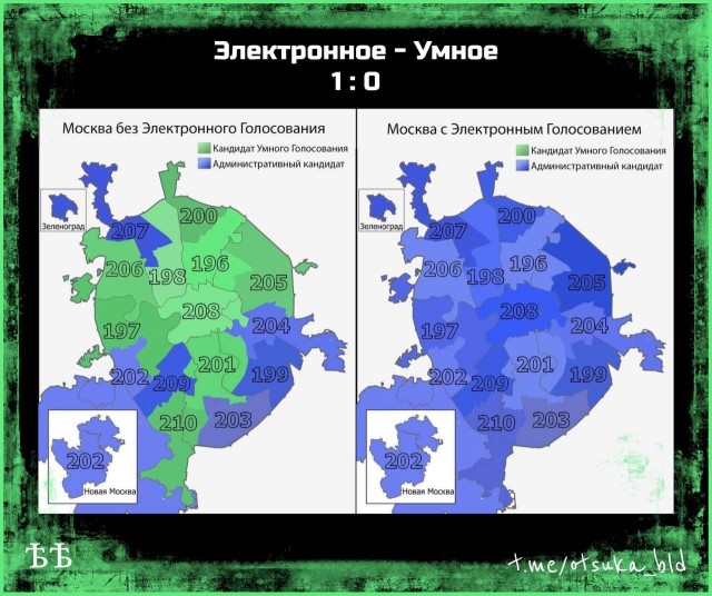 Моя работа на выборах 2021 и выводы