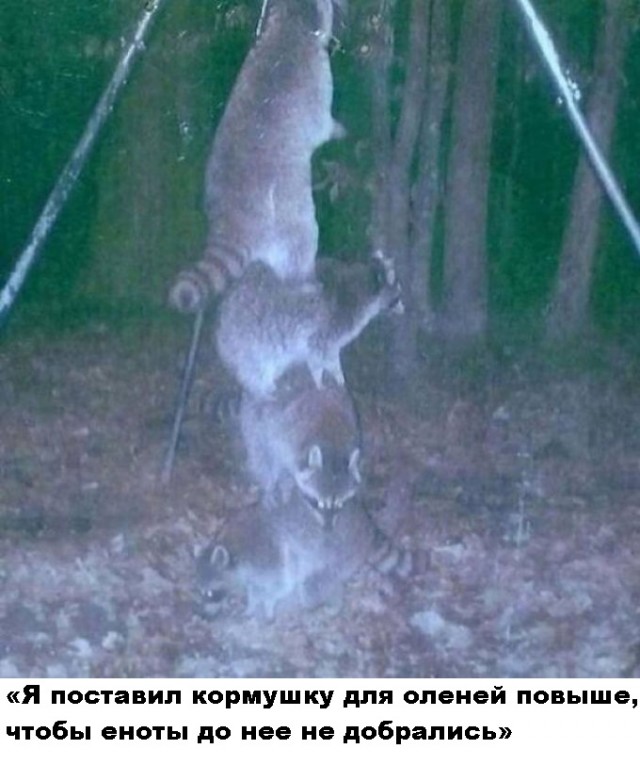 Весёлый полтишок 26.09