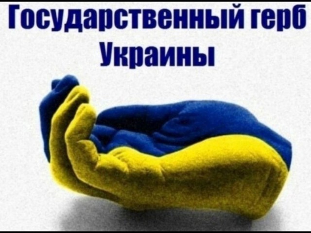 «Люди совсем озверели». Екатеринбуржцы заступились за спортсмена, надевшего футболку с гербом Украины