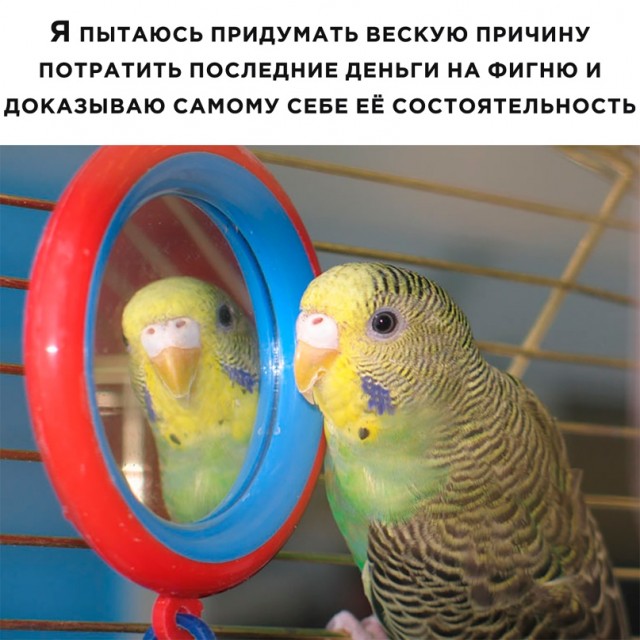 Картинки и мемы для настроения - 23
