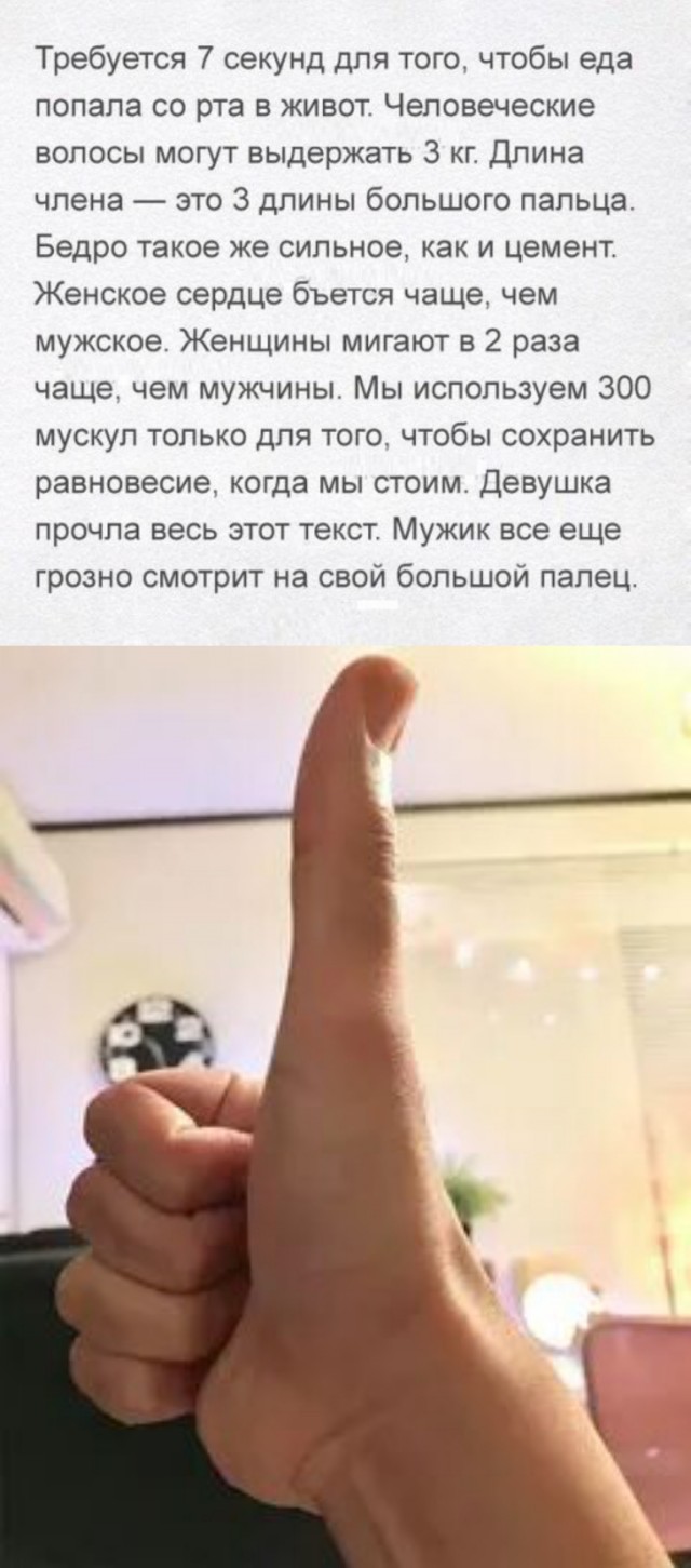 Веселые картинки для настроения!