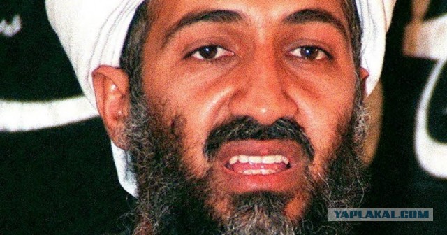 Года через два станет похожа на Игги Попа