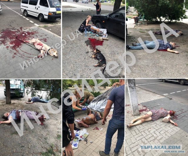 ВСУ обстреляли поселок Сачковичи в Брянской области