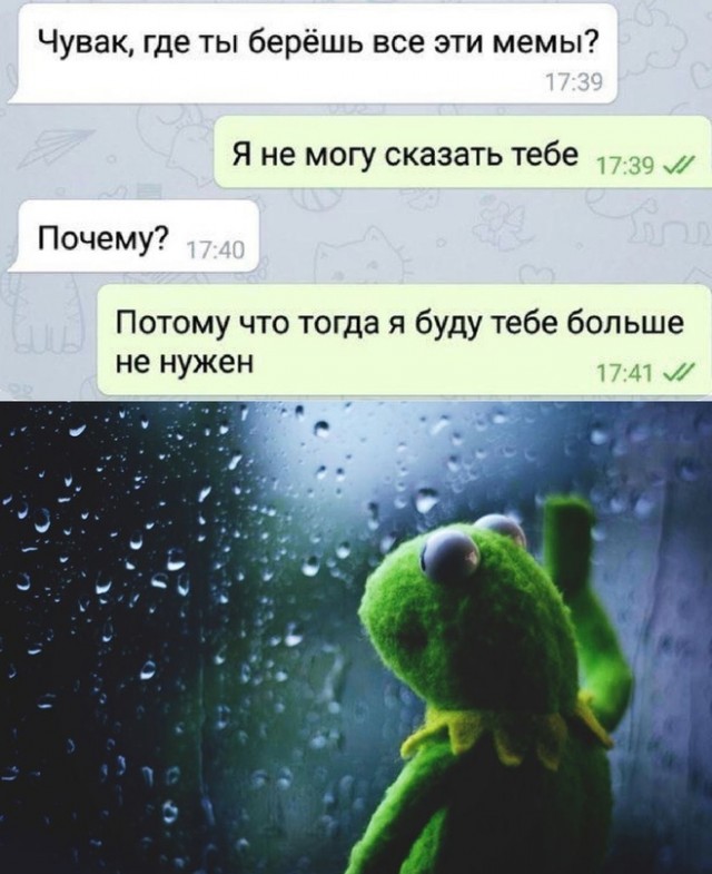 Весёлый полтишок 5.08.22