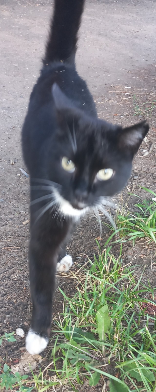 КотоФторник 23.08.22