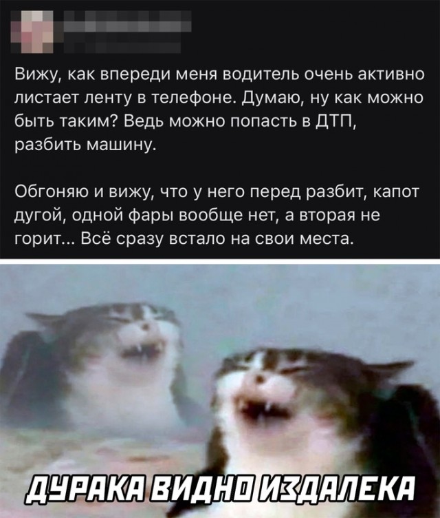 Весёлый полтишок 16.09.22