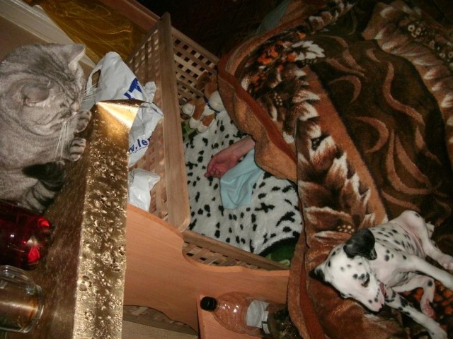 Что мне делать?Новосибирск-помогите.