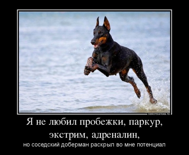 Народная меДИЧина 9011