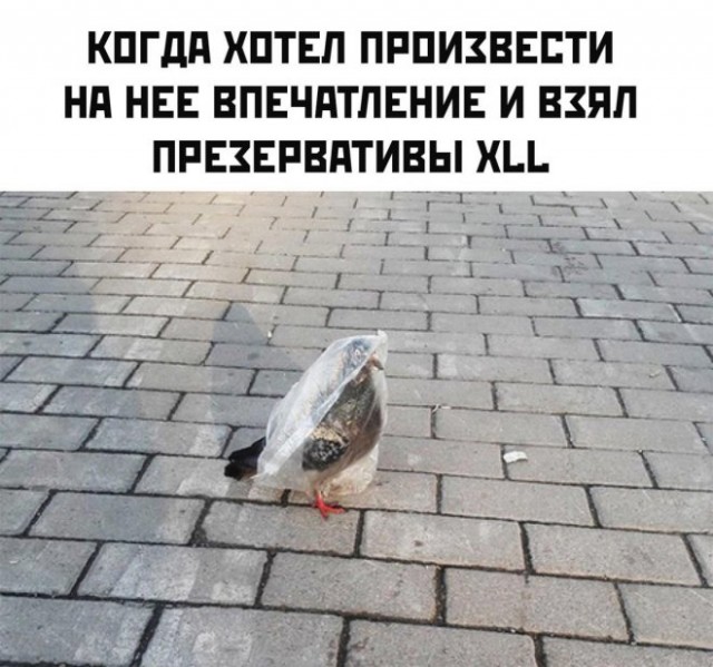 Немного картинок для настроения - 112