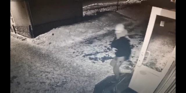 Самое бессердечное ограбление произошло в Кудрово под Петербургом: Неизвестный нагло украл из магазина кота
