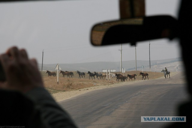 В Монголию на мотоциклах 2006