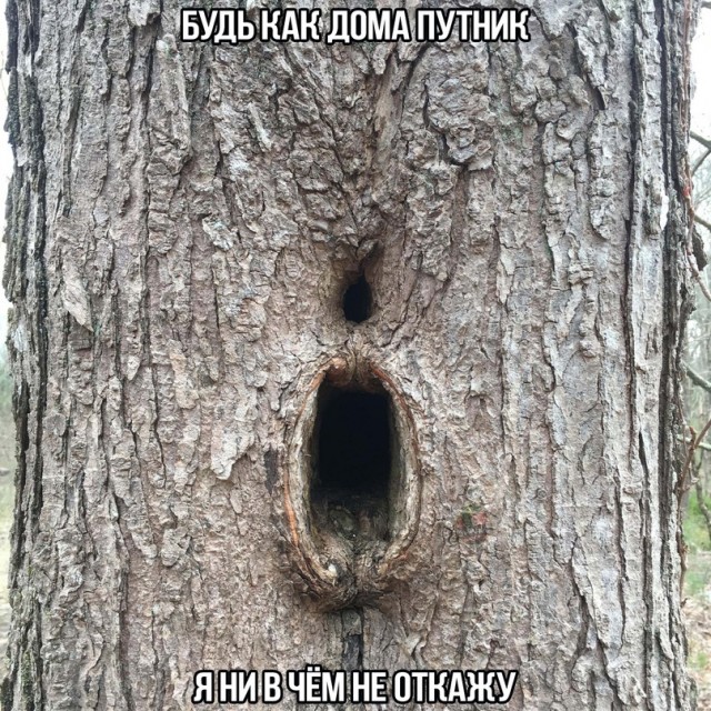 Картинки и мемы для настроения - 131