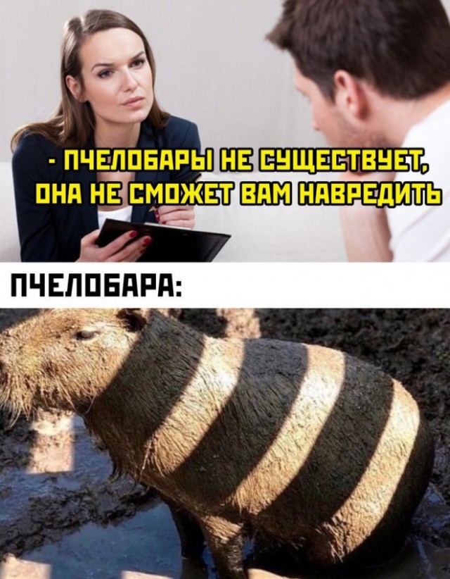 Картинки и мемы, всяко - 169