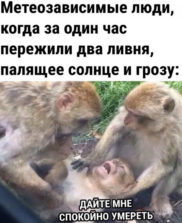 Подборка картинок 06.05.2023
