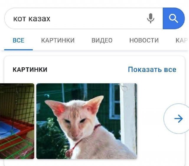 Всего понемногу. Пятничный выпуск