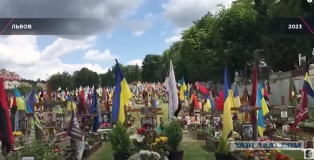 Новая волна частичной мобилизации возможна, заявили в Госдуме