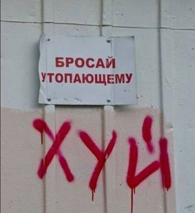 50 пятничных картинок 22.09.2023