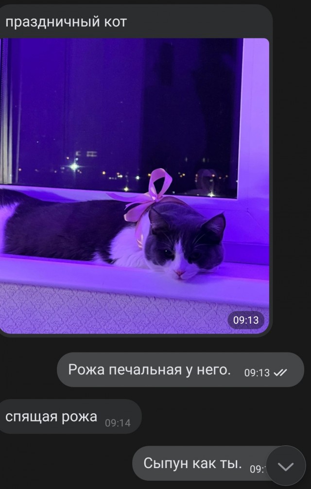 "Ты узнаешь ее из тысячи" Как распознать лесбиянку