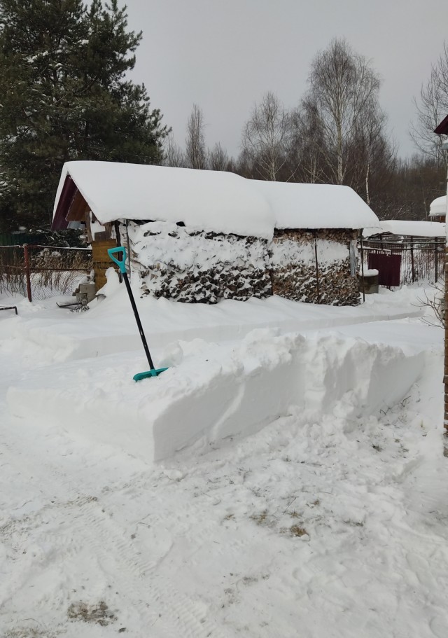 Каникулы в деревне