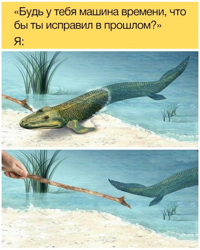 18811362.jpg