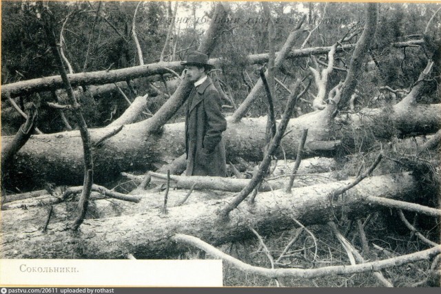 Как выглядела Москва в начале 20 века: история в фотографиях
