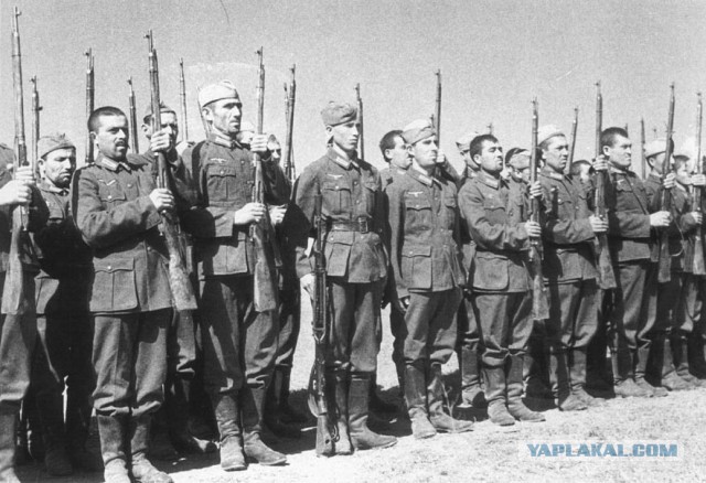 Муфтий назвал мусульман неверными