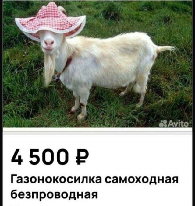 Немного наркомании и шизофрении в ленту