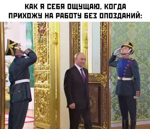 Весёлый полтишок 05.08.24