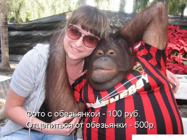 Русские девушки в Египте
