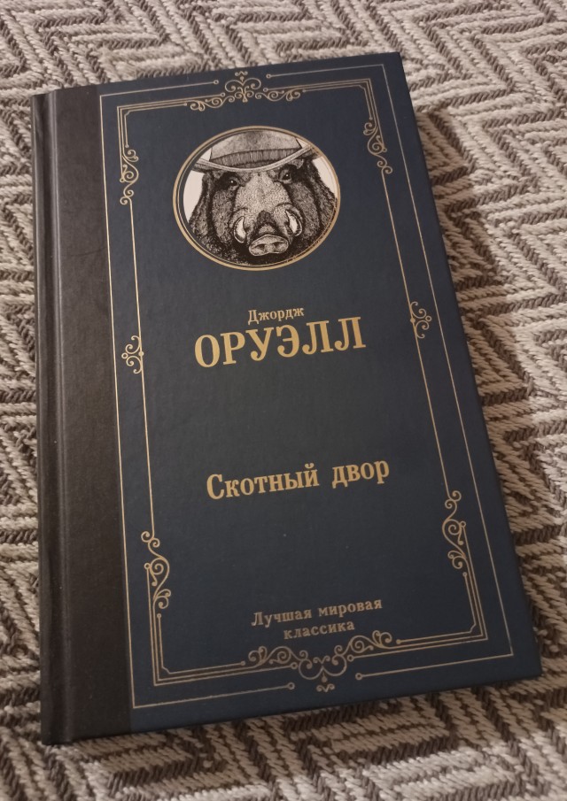 Кто что читает, товарищи?