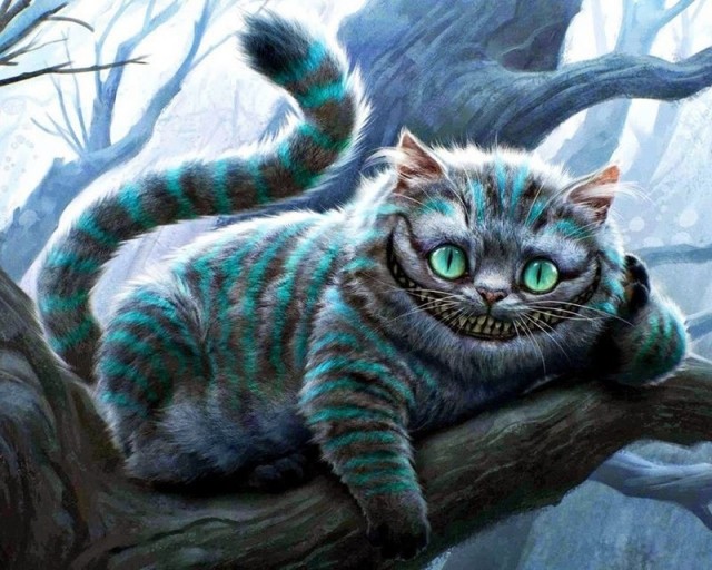 Коты держат в страхе собак