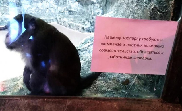 Картинки разные с надписями и без