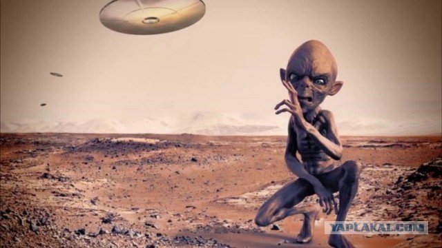Что за порошок такой? Он вообще легальный?