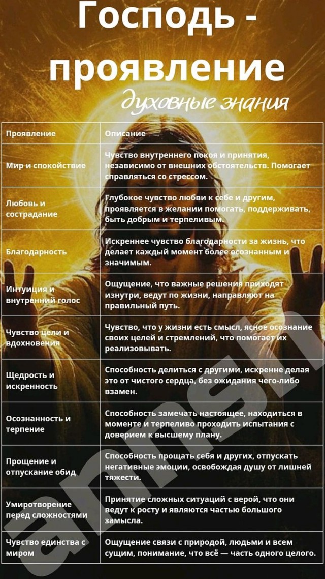 Прикольные и просто красивые картинки 24.12.2024