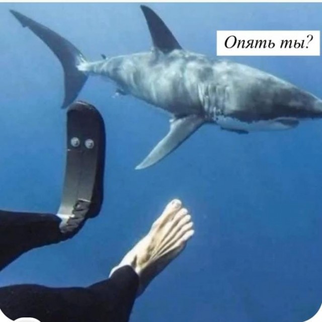 Отсутствие морально этических норм Vol.25