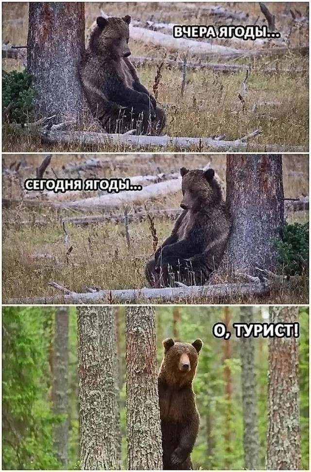 Веселые картинки в понедельник (07.07)