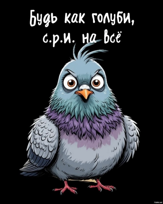 Так себе картинки 24.09.25